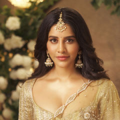 Nabha Natesh